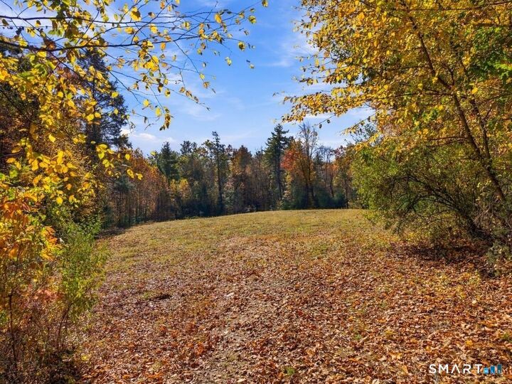 Property Photo:  61 Barn Door Hills Road  CT 06035 