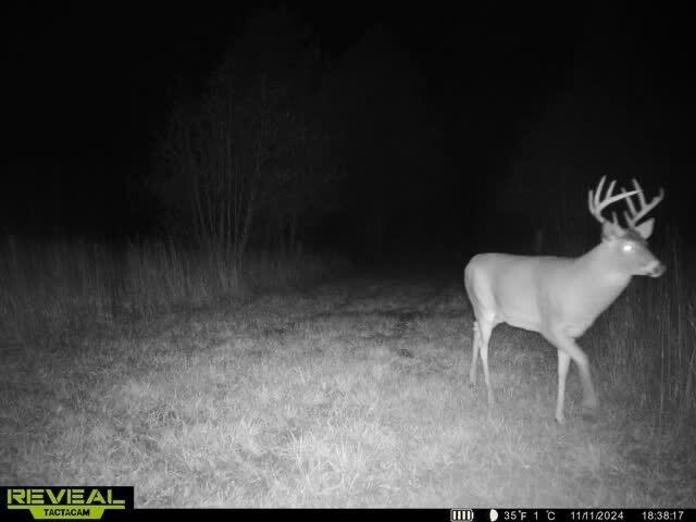 Property Photo: 1984 Bean Creek Road MI 49753
