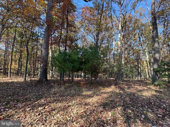 Property Photo: Blossom Road WV 26757