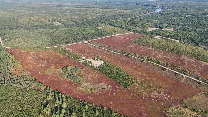 Property Photo:  Lot 827 S Cains Road  NB E9B 1M1 