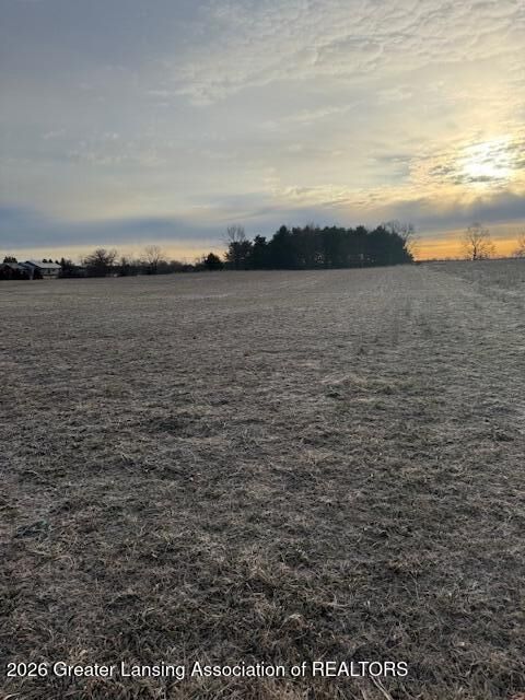 Property Photo:  0 S Watson Road  MI 48879 