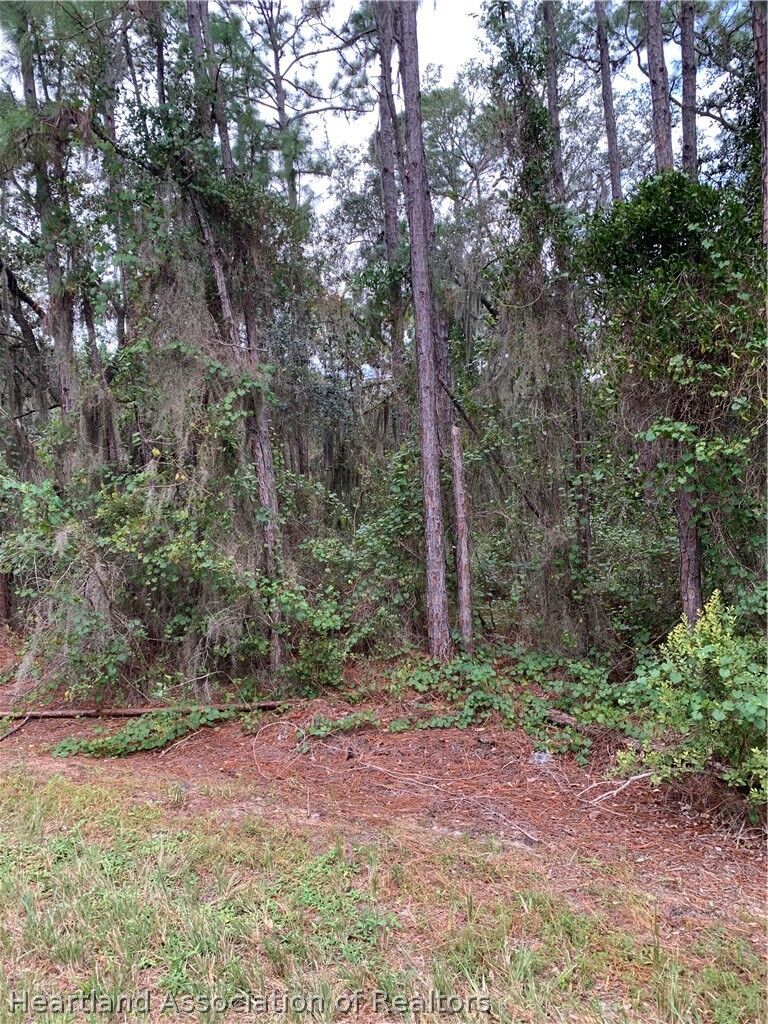 Property Photo:  452 Highlands Lake Drive  FL 33852 