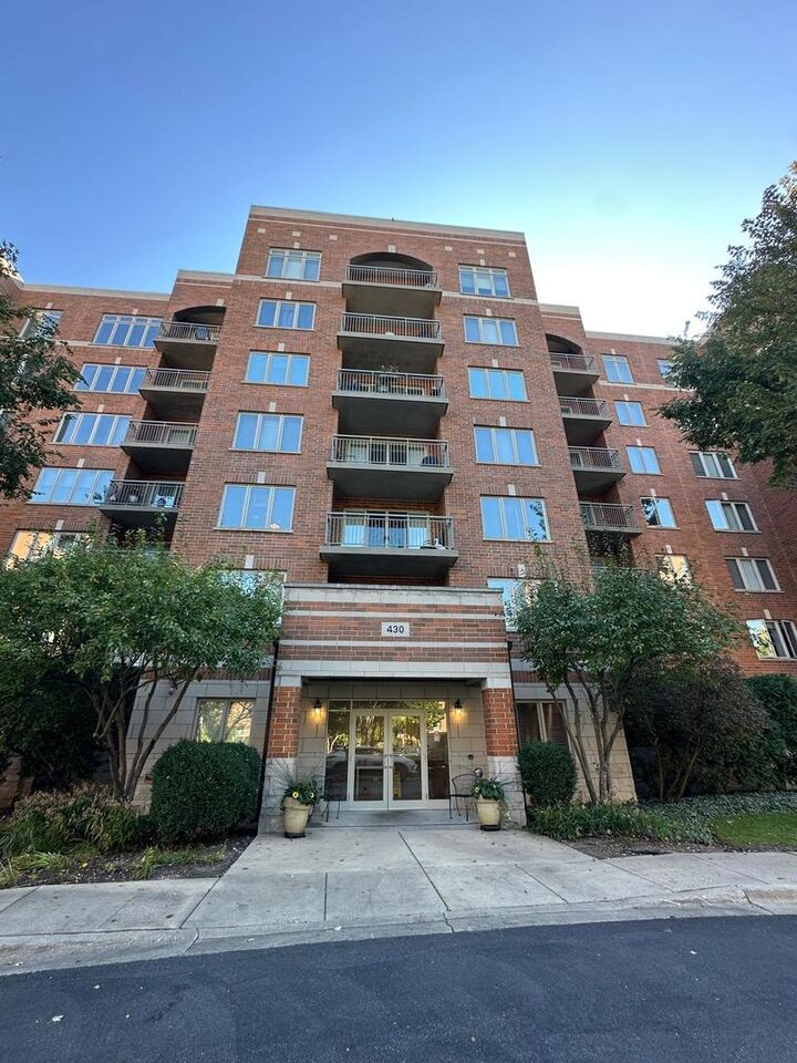 Property Photo:  430 S Western Avenue 211  IL 60016 