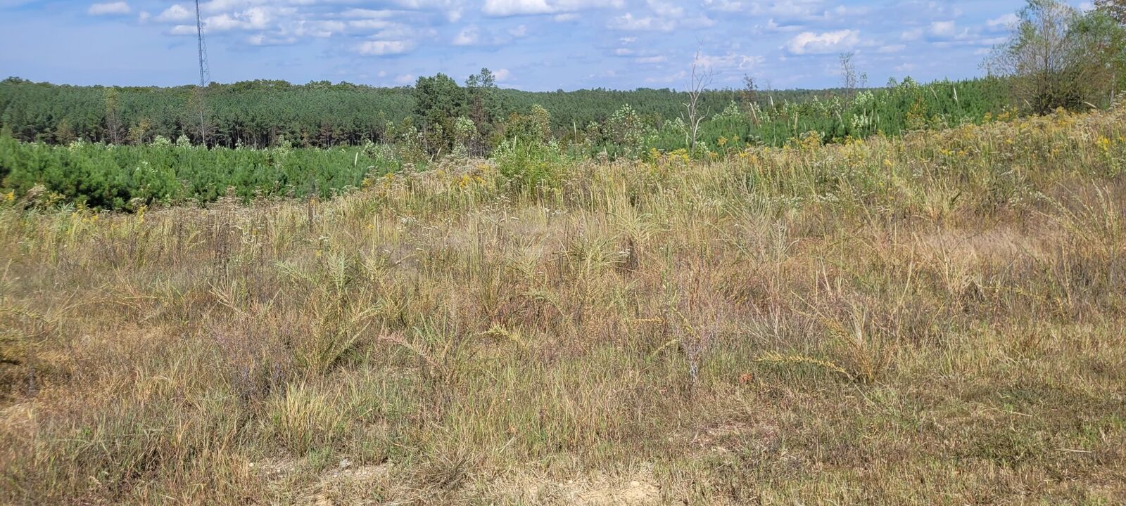 Property Photo:  0 Fernwood Dr  TN 37058 