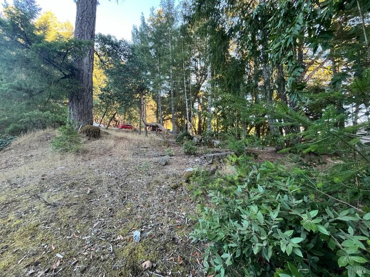 Property Photo: 25350 Madrone Place CA 95490