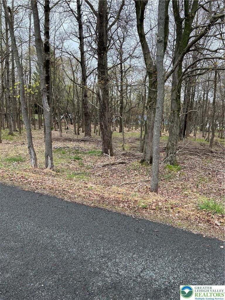 Property Photo:  Cross Street 4  PA 18347 