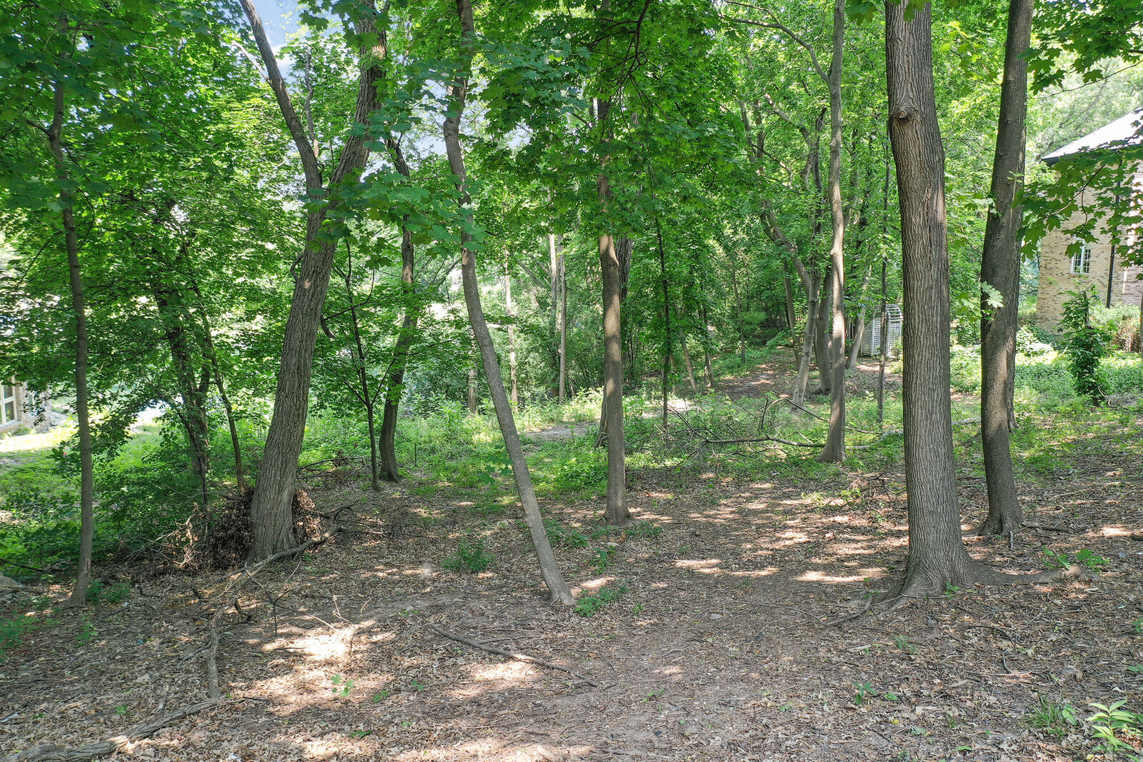 Property Photo: 910 Saint Stephens Green IL 60523