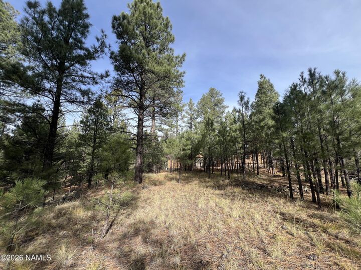 Property Photo:  1676 N Locksley Drive  AZ 86018 
