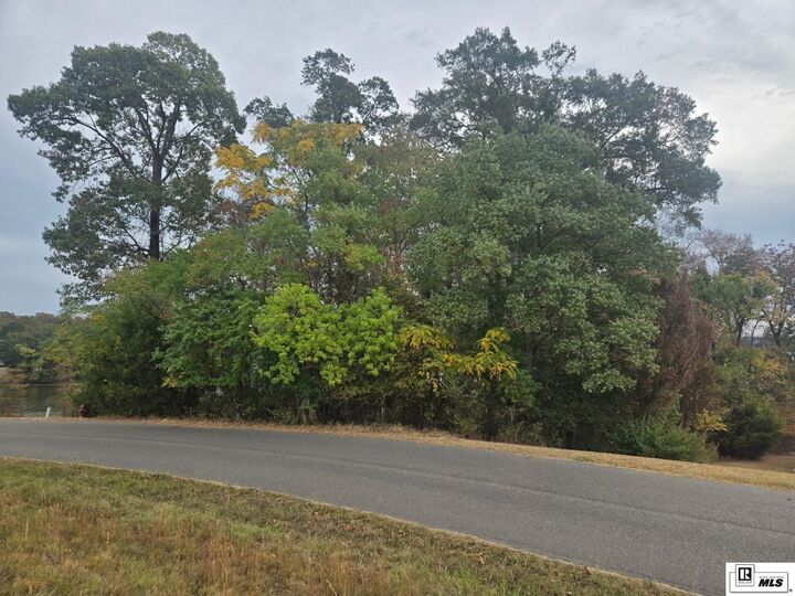 Property Photo:  0 Eagle Point Drive  LA 71241 