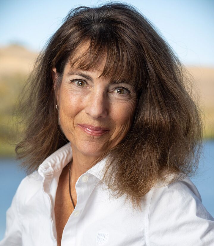 Heidi Rickerd Rizzo, REALTOR® in Napa, Icon Properties