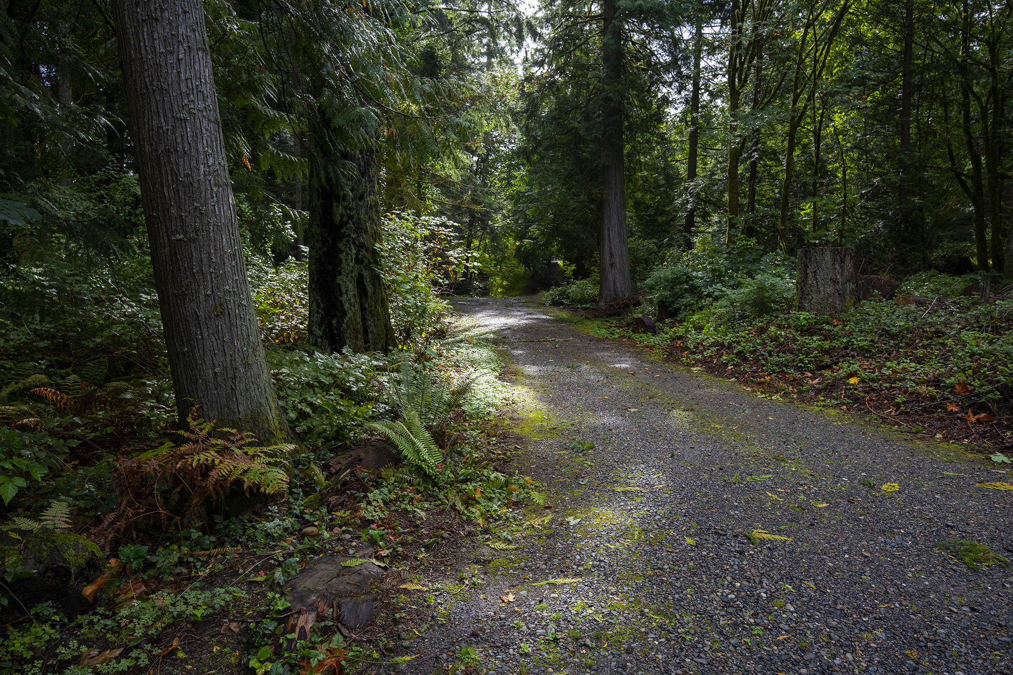 Property Photo:  19217 SE 62nd Place  WA 98027 