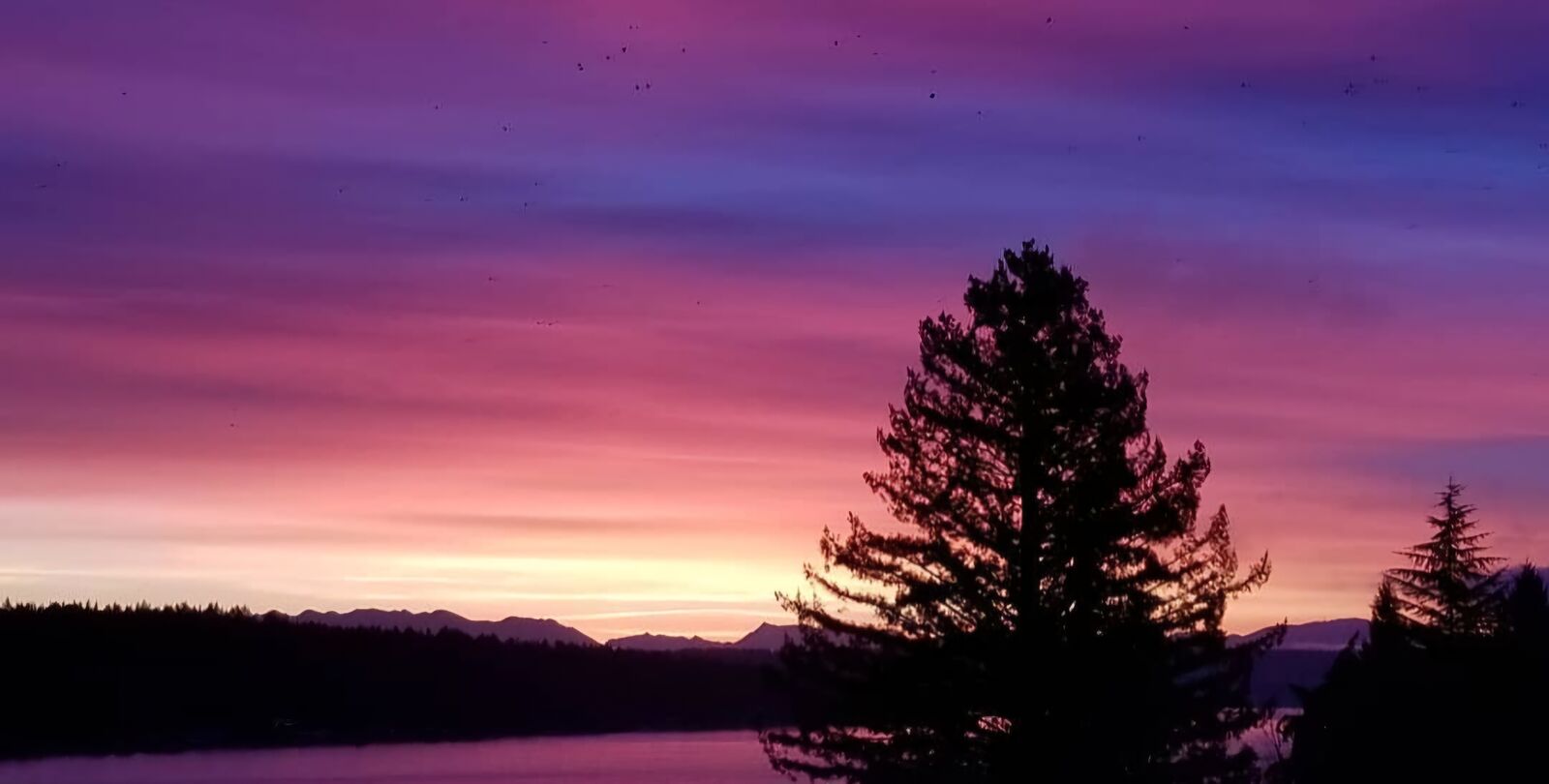 Property Photo:  12725  42nd Avenue NE  WA 98125 