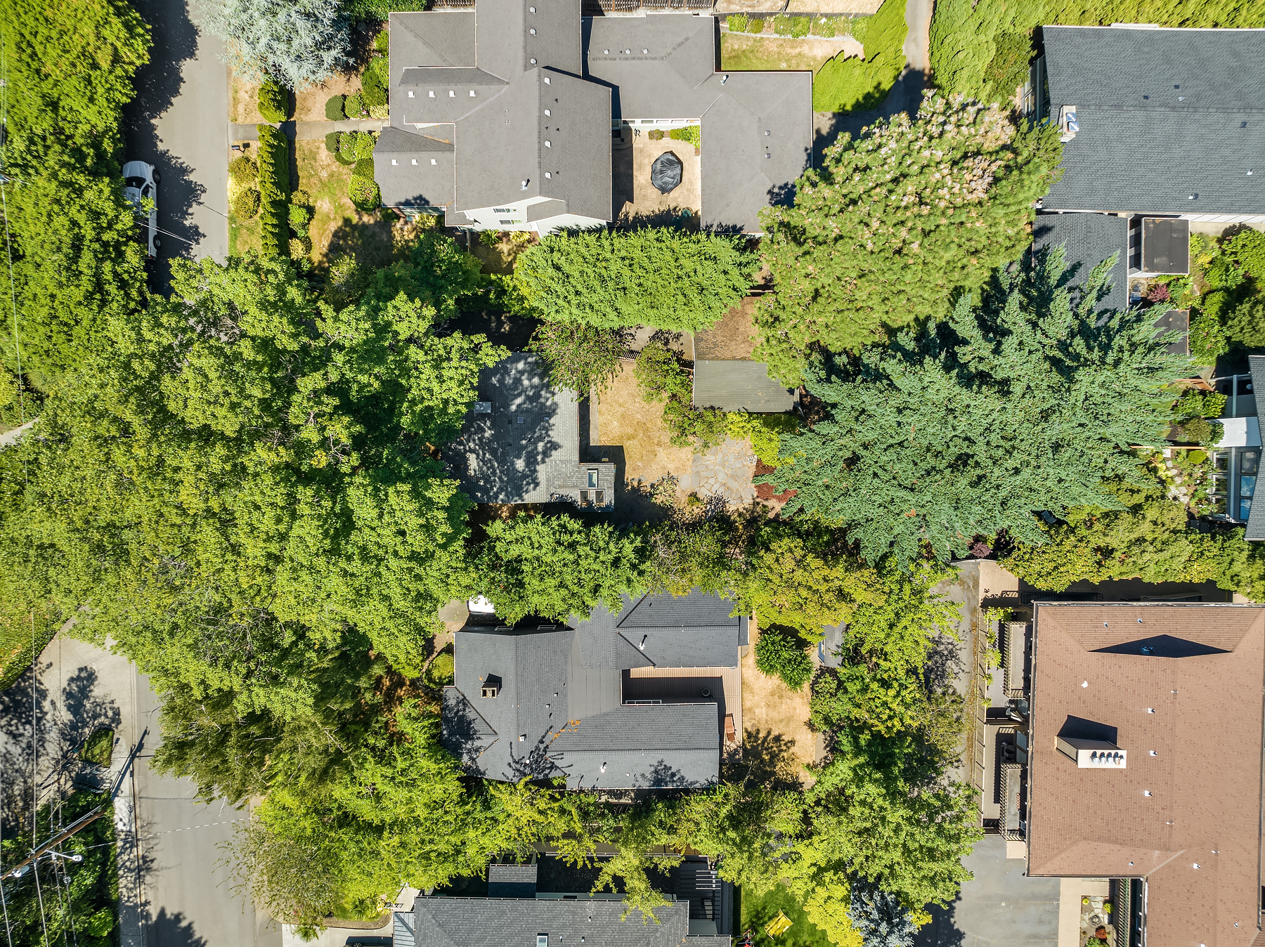 Property Photo: 422 98th Avenue NE WA 98004