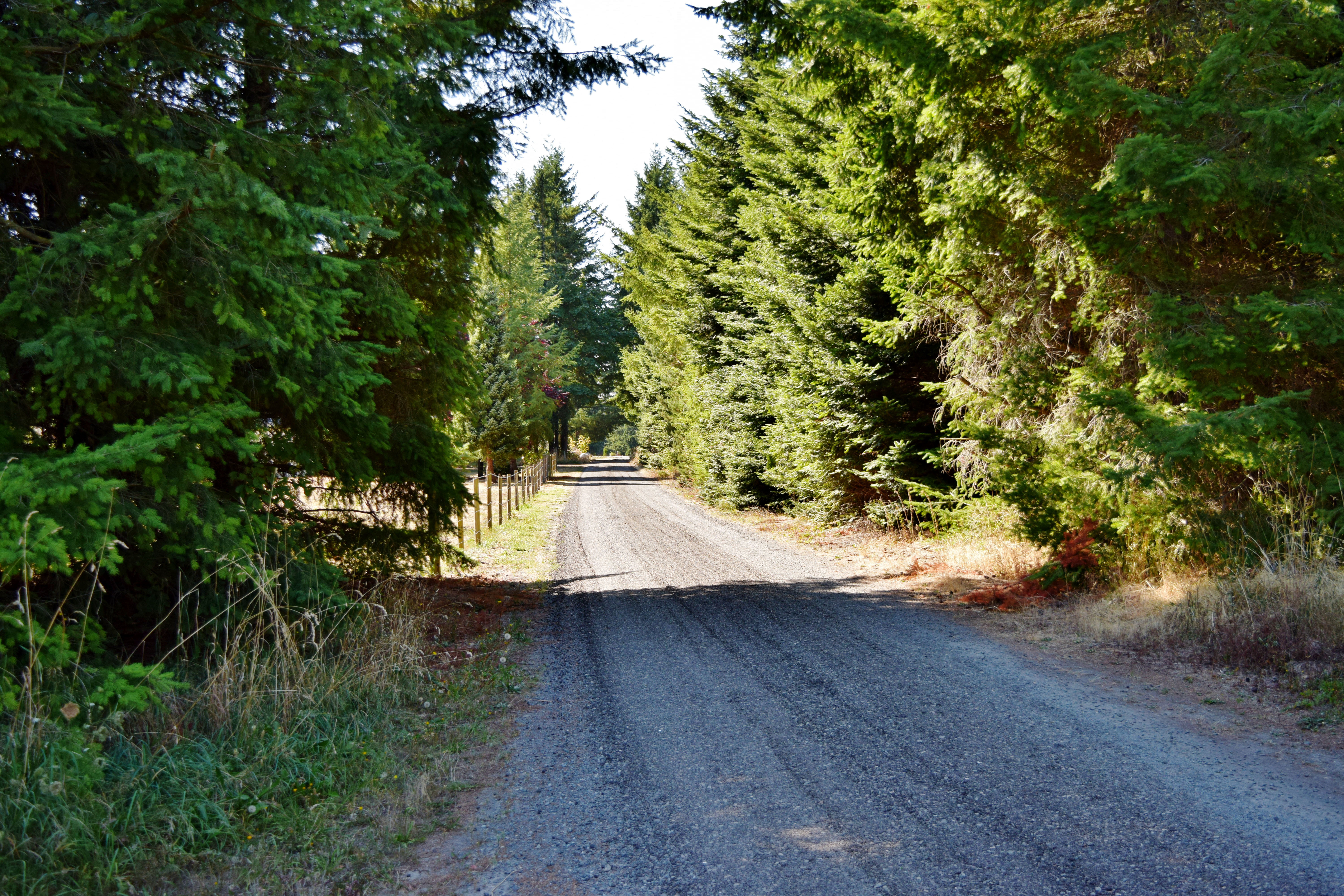 Property Photo: Road 971 Adrian Dr  WA 98264 