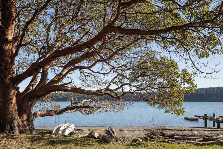 Property Photo: 1484 Islandale Road ~ 1484 Islandale Rd  WA 98261 