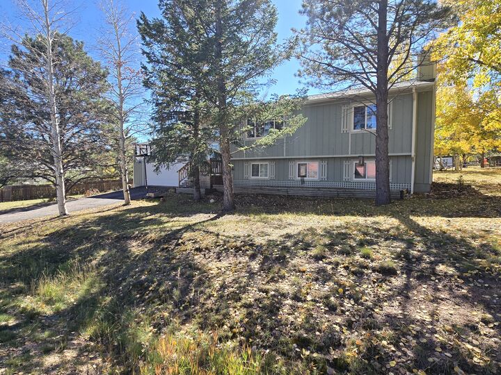 868 Northwoods Dr E  Woodland Park CO 80863 photo