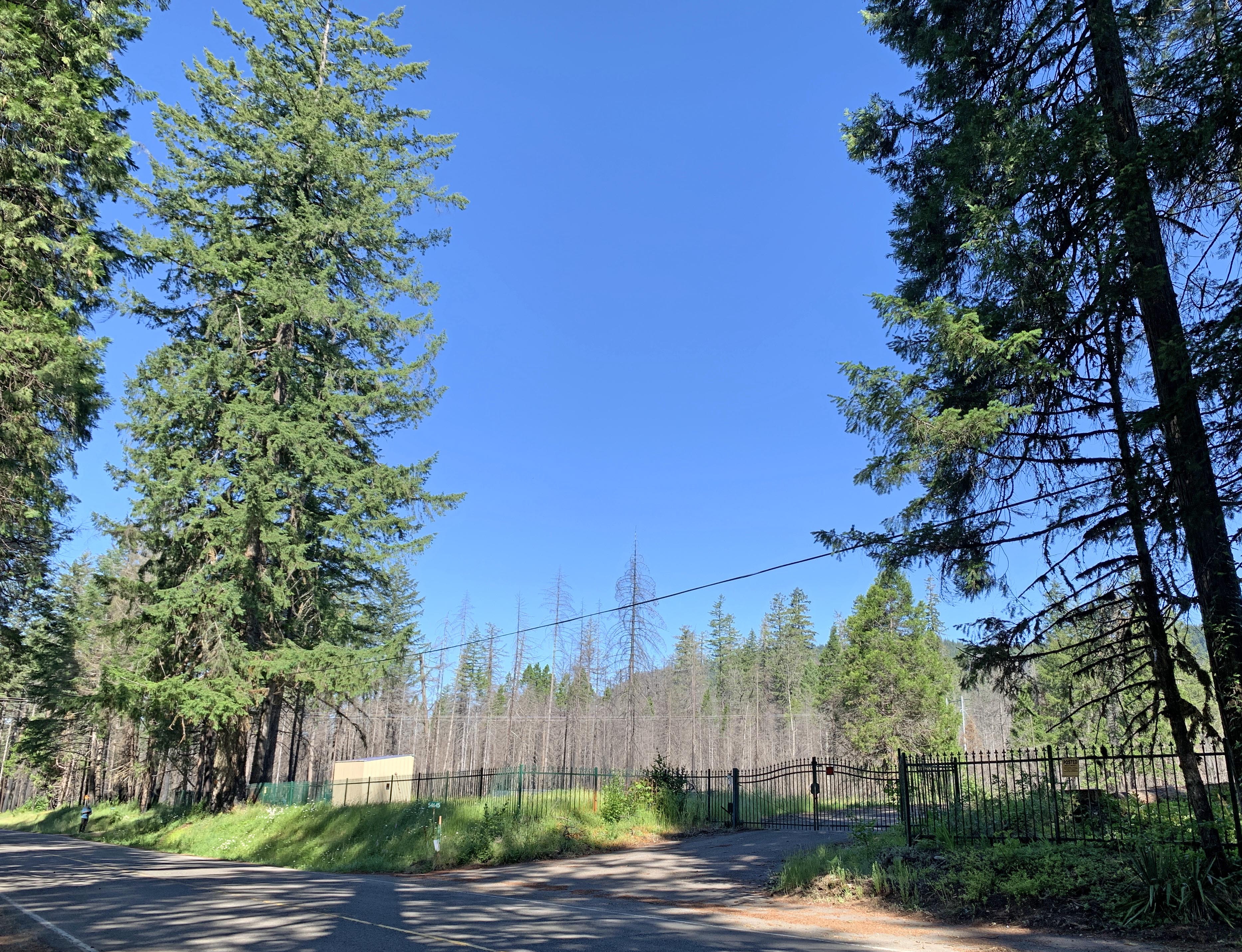 Property Photo:  54645 McKenzie River Dr  OR 97413 