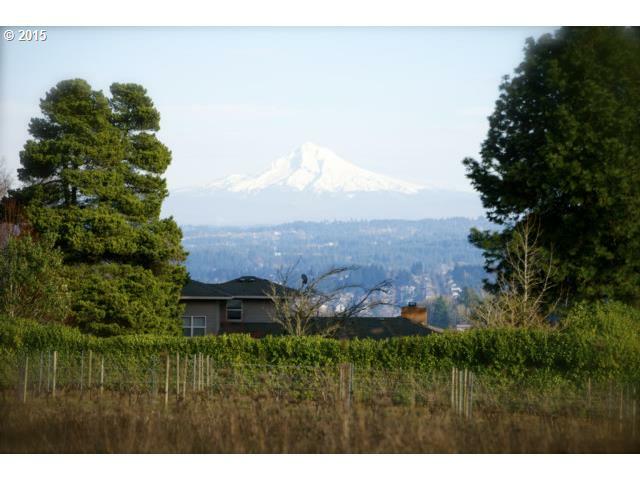Property Photo: 21711 SW Chapman Rd OR 97140